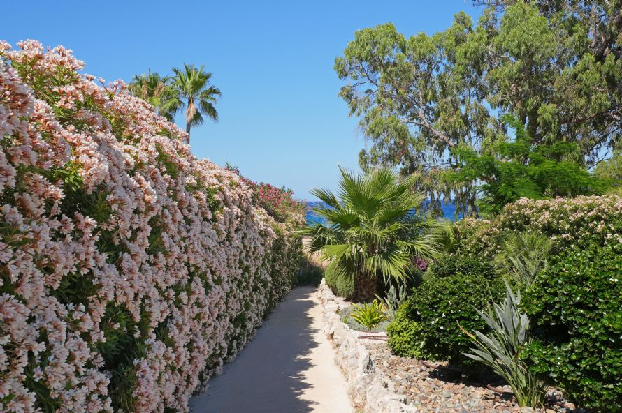 18,Daphnis, Mesogios Phase A, House No. 11,  Paralimni,Protaras Resort Center,Protaras,5296 3 Bedrooms  With 2 Bathrooms 2 Villa 18,Daphnis, Mesogios Phase A, House No. 11,  Paralimni